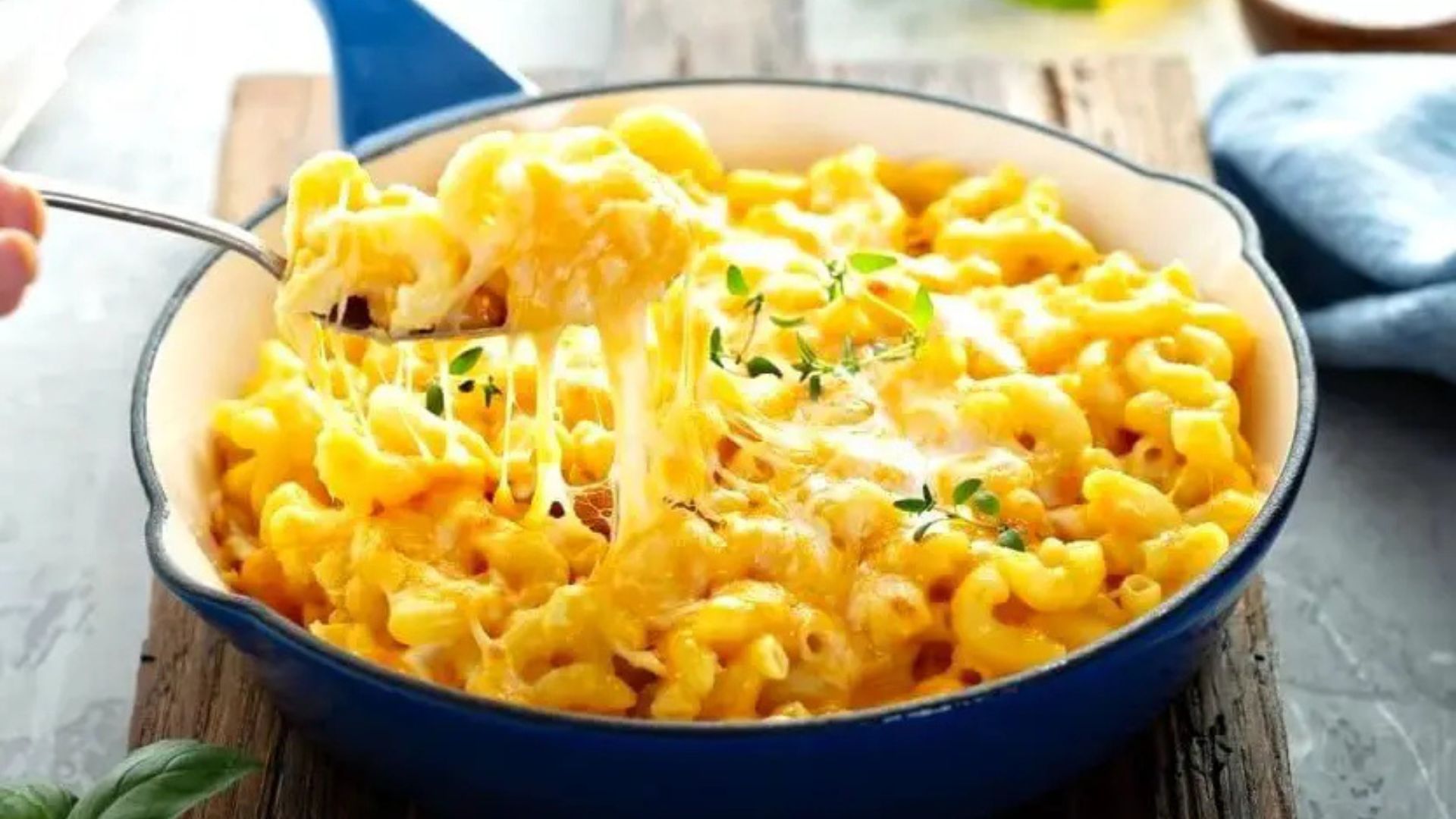 Creamettes Mac And Cheese Recipe